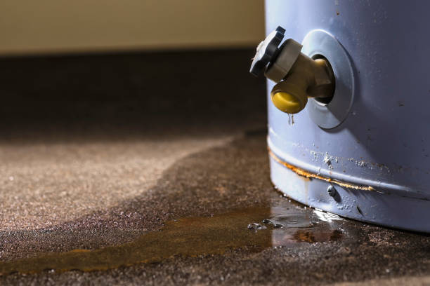 Best Professional water damage repair  in Ben Lomond, CA