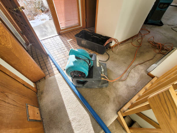Best Residential water damage restoration  in Ben Lomond, CA