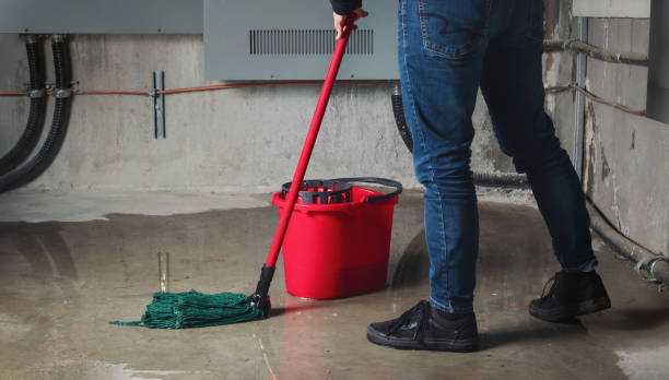 Best Carpet water damage restoration  in Ben Lomond, CA