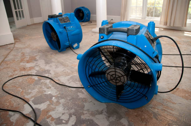 Best Local water damage restoration  in Ben Lomond, CA
