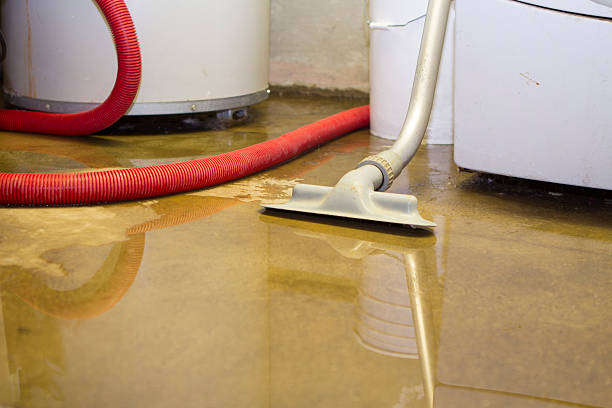 Best Mold removal after water damage  in Ben Lomond, CA