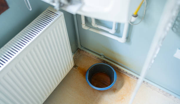 Best Sewage cleanup and water damage restoration  in Ben Lomond, CA