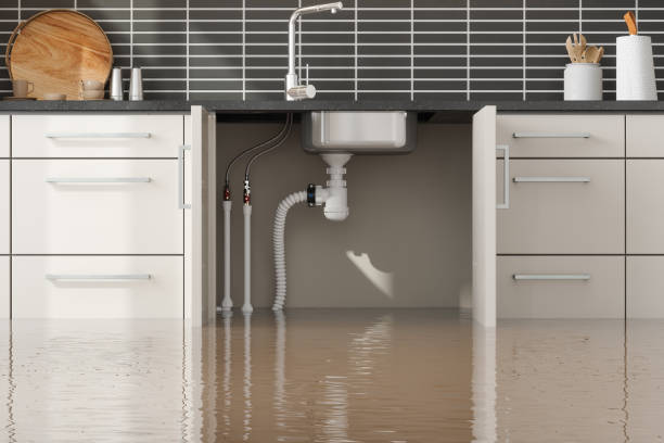 Best Emergency water damage restoration  in Ben Lomond, CA