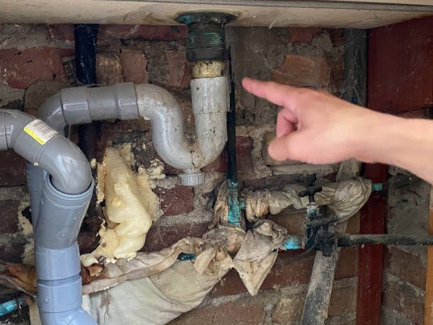 Best 24-hour water damage restoration  in Ben Lomond, CA